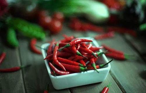 80后网红小辣椒,辣味人生，火辣演绎