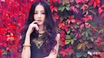 娱乐圈里有背景,娱乐圈背景下的璀璨星途