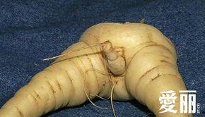 .少女生殖器图片,少女生殖器图解与知识普及