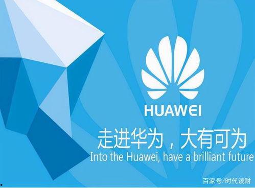 简大资料卡,揭秘人物背后的故事与成就