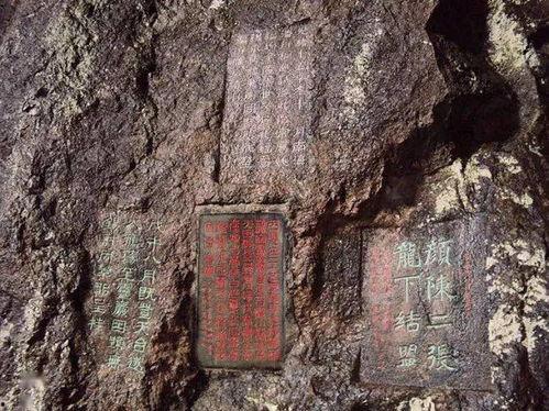 龙鼻子图片,神秘生物的神秘象征