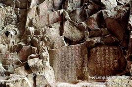 龙鼻子图片,神秘生物的神秘象征