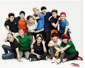 exo全部资料,璀璨星河中的闪耀偶像，全面解析韩国顶级男团传奇历程