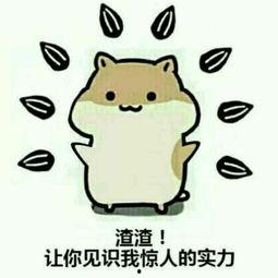 盖世英雄啊表情包,笑翻网络的经典瞬间