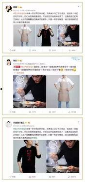 娱乐圈厨艺最好的